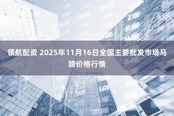 领航配资 2025年11月16日全国主要批发市场马蹄价格行情