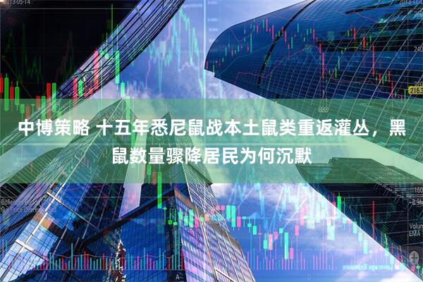 中博策略 十五年悉尼鼠战本土鼠类重返灌丛，黑鼠数量骤降居民为何沉默